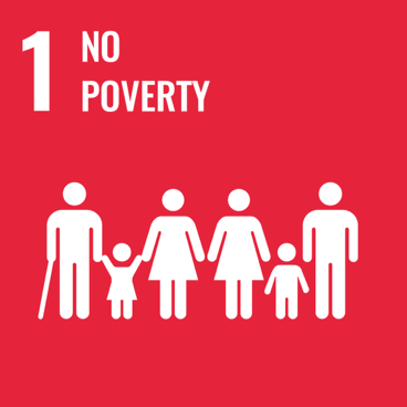 UN SDG - No poverty block